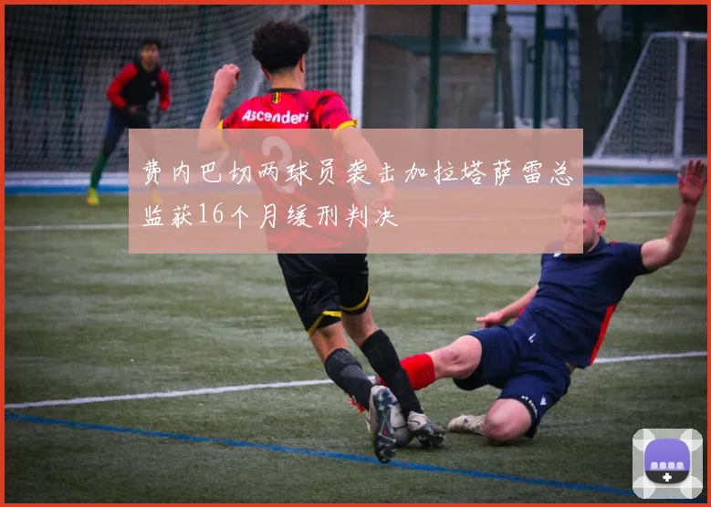 费内巴切两球员袭击加拉塔萨雷总监获16个月缓刑判决