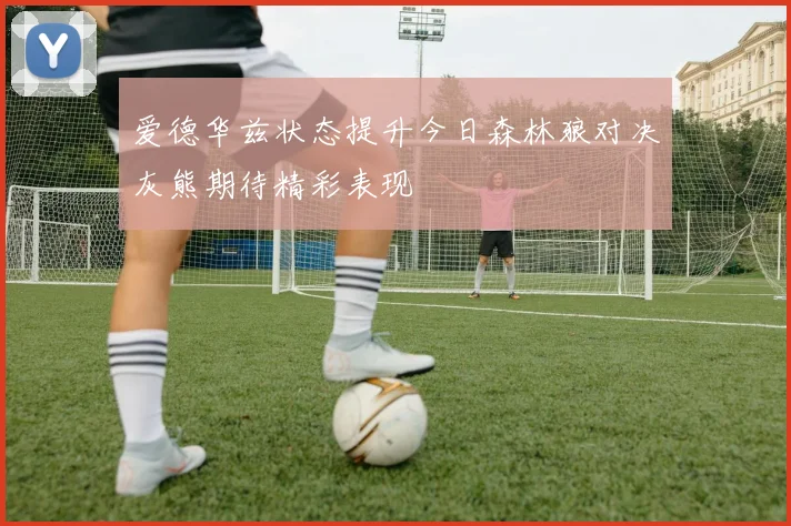 爱德华兹状态提升今日森林狼对决灰熊期待精彩表现