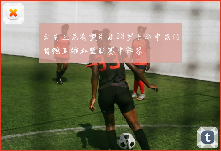 云南玉昆有望引进28岁上海申花门将鲍亚雄加盟新赛季阵容