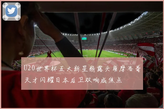 U20世界杯五大新星崭露头角摩洛哥天才闪耀日本后卫双响成焦点