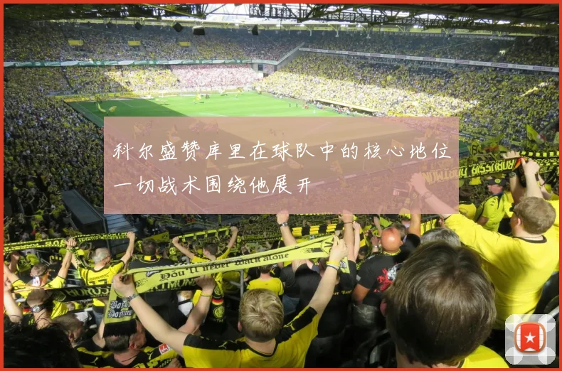 科尔盛赞库里在球队中的核心地位一切战术围绕他展开