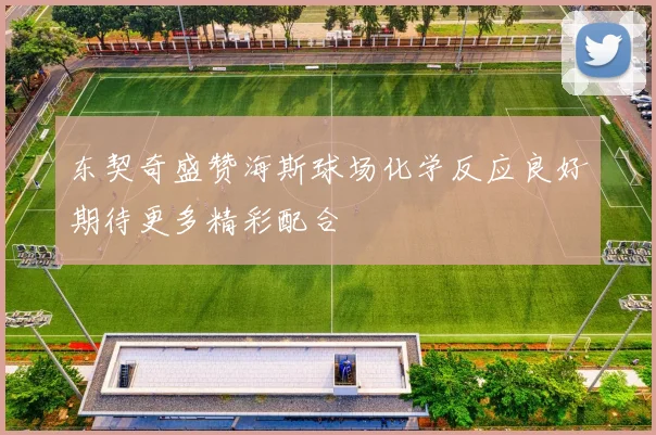 东契奇盛赞海斯球场化学反应良好期待更多精彩配合
